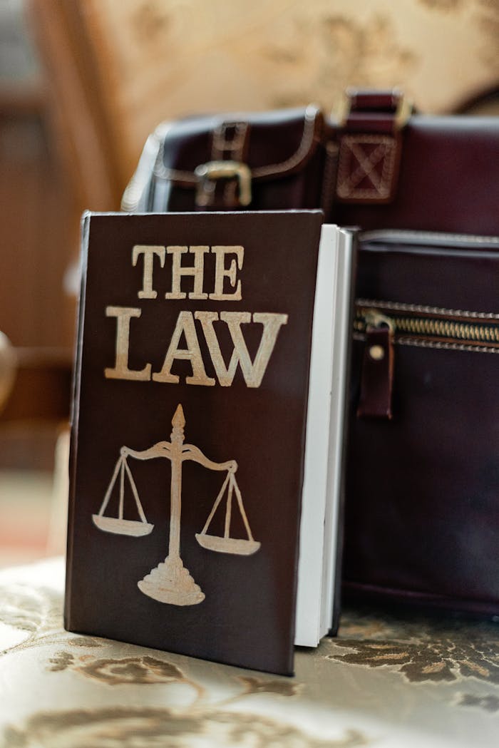 Close-up of a law book titled The Law beside a leather briefcase.